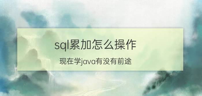 sql累加怎么操作 现在学java有没有前途？